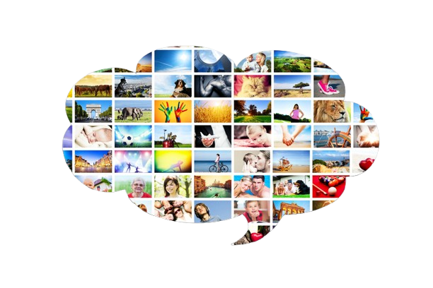 dreamstime_s_40919923-removebg-preview (1)